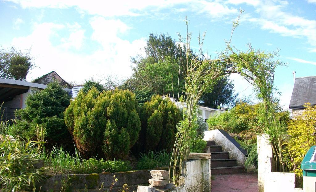 Bryncoch Bed & Breakfast Llannon Room photo