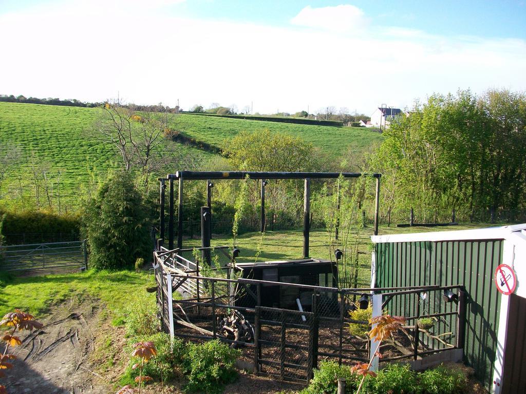 Bryncoch Bed & Breakfast Llannon Exterior photo
